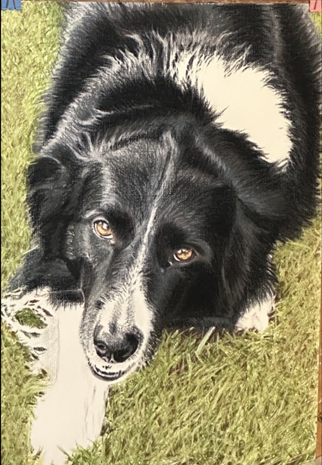 PERRO
